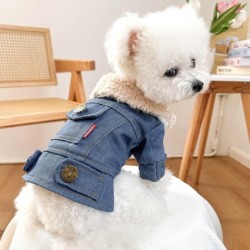 Jeansmantel mit Pelzkragen für Haustiere, Welpen- und Katzenkleidung, Herbst und Winter, neue Stile mit Plüsch und dickem Den