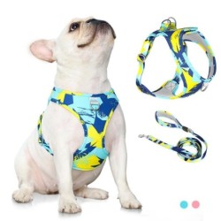 Neu Hunde-/Katzengeschirr, verstellbare Weste, Laufleine, Leine für Welpen, Halsband aus Polyesternetz, Geschirr für kleine,