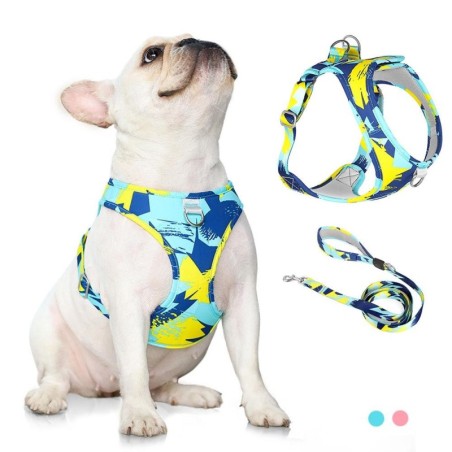 Neu Hunde-/Katzengeschirr, verstellbare Weste, Laufleine, Leine für Welpen, Halsband aus Polyesternetz, Geschirr für kleine,