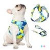 Neu Hunde-/Katzengeschirr, verstellbare Weste, Laufleine, Leine für Welpen, Halsband aus Polyesternetz, Geschirr für kleine,