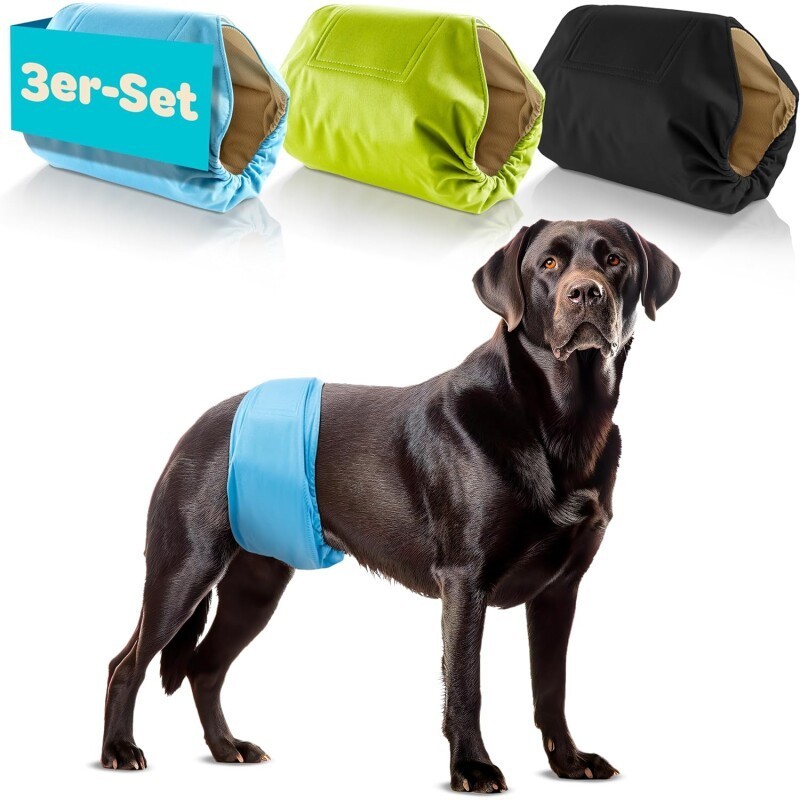 HUND IST KÖNIG Hundewindeln für Rüden [3 STK] Saugstarke Hundewindeln Rüde | Bequeme Hunde Windeln bei Inkontinenz (L)