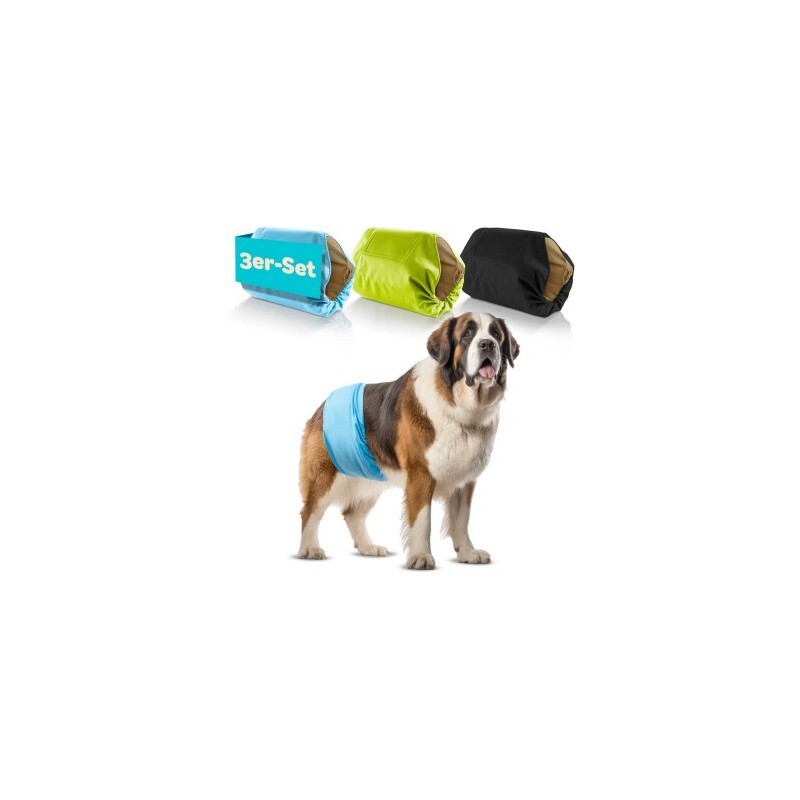 HUND IST KÖNIG Hundewindeln für Rüden [3 STK] Saugstarke Hundewindeln Rüde | Bequeme Hunde Windeln bei Inkontinenz (XXL)