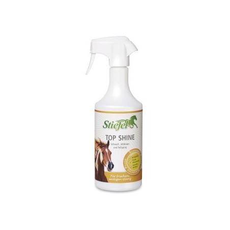 Stiefel Top Shine 750 ml