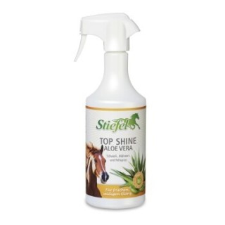 Stiefel Top Shine Aloe Vera 750 ml