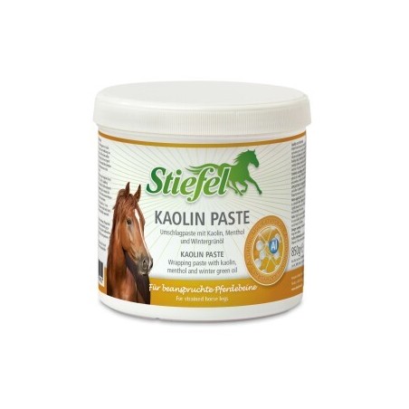 Stiefel Kaolin Paste 850 g