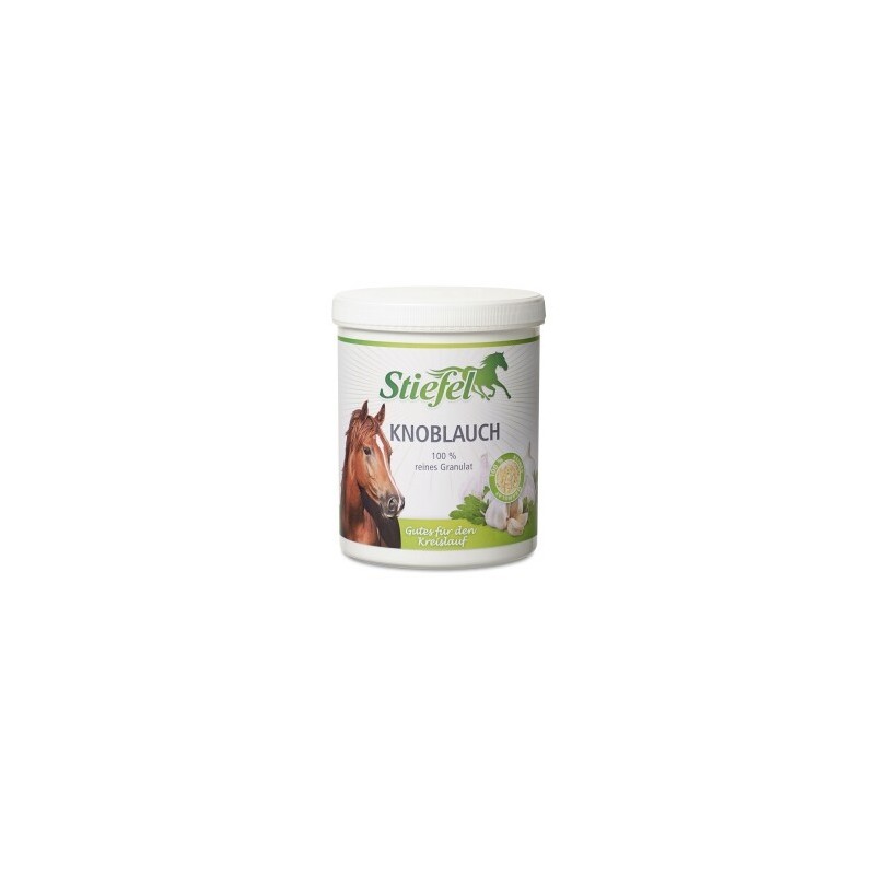 Stiefel Knoblauch 1 kg