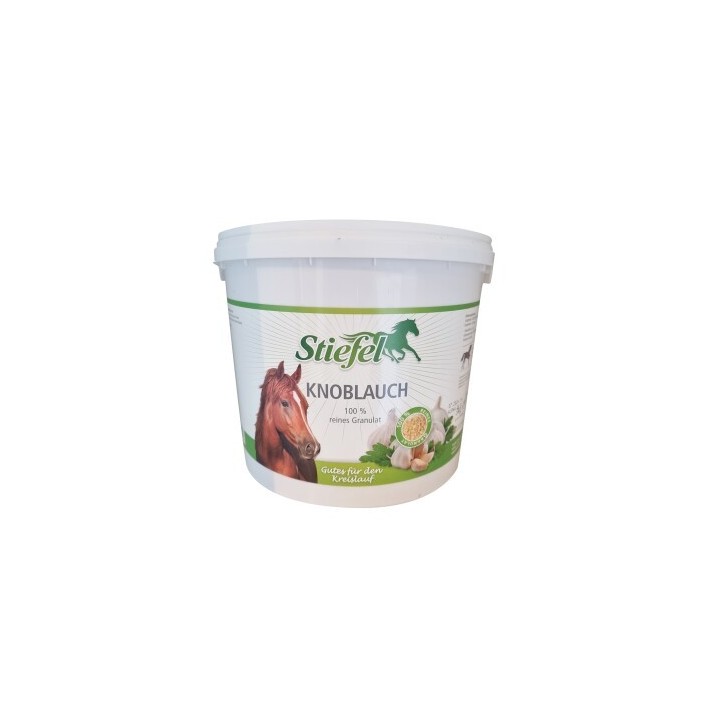Stiefel Knoblauch 3 kg