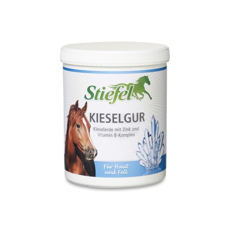 Stiefel Kieselgur 1 kg