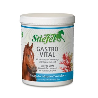 Stiefel Gastro Vital 1 kg