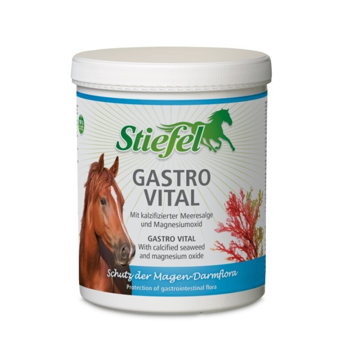 Stiefel Gastro Vital 1 kg