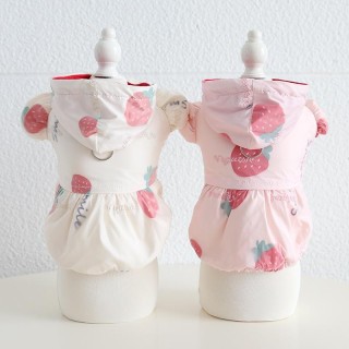 Haustier Erdbeere Pullable Baumwolle Rock Herbst/Winter Hund Mantel Teddy Katze Kleidung Haustier Kleidung Designer Hunde Kle