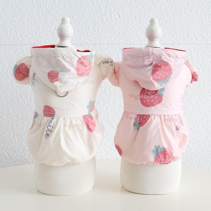 Haustier Erdbeere Pullable Baumwolle Rock Herbst/Winter Hund Mantel Teddy Katze Kleidung Haustier Kleidung Designer Hunde Kle