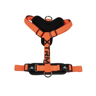 X-TRM Cronos NEON FLASH Geschirr 35-60x1,5cm ORANGE NAYECO