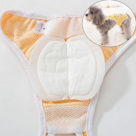 30 stücke Hund Windel Pad Windeln für Weibliche Hund Shorts Höschen Weibliche Sanitär Hosen Einweg Doggie Physiologische Hose