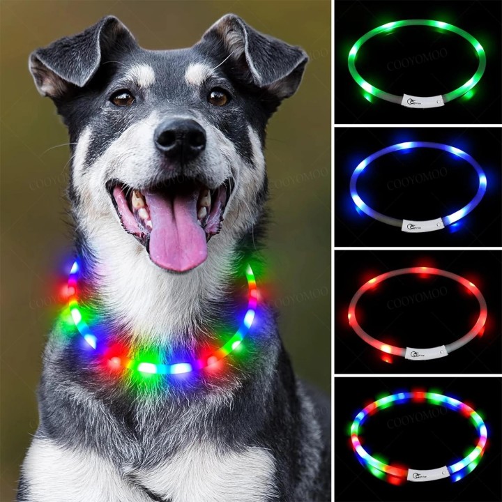 4 Modi Hunde-Leuchthalsband mit Ladefunktion, LED, USB, Katzen-Silikon, bunte Halsbänder, schneidbares Nachtleuchten, Haustie