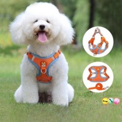 No Pull-Set aus Hundegeschirr und Leine für kleine und mittelgroße Hunderassen, verstellbar, Geschirr für Welpen und Katzen,