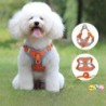 No Pull-Set aus Hundegeschirr und Leine für kleine und mittelgroße Hunderassen, verstellbar, Geschirr für Welpen und Katzen,