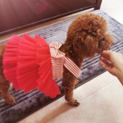 Haustier Hund Welpen Tutu Schleife Rock Kleid Katze Hund Prinzessin Kostüm Chihuahua Bekleidung süße Sommerkleidung für Mädch