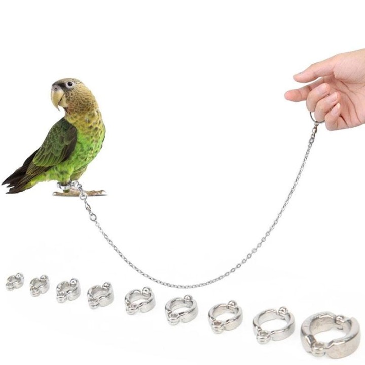 3Pcs Papagei Edelstahl Ständer Schnalle Vogel Kette Fußkettchen Fuß Ring Training No.4