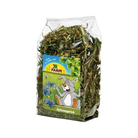 JR Farm Spitzwegerich 500 g