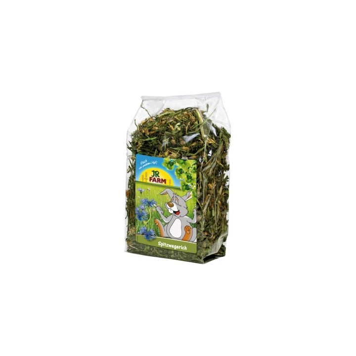 JR Farm Spitzwegerich 500 g