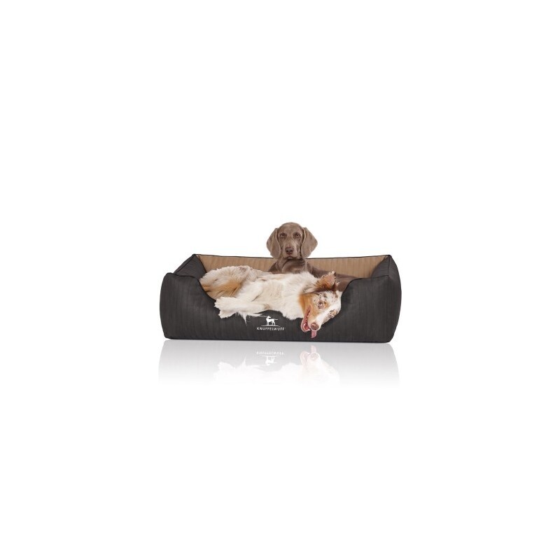 Knuffelwuff Orthopädisches Hundebett Outback aus laser-gestepptem Kunstleder creme/ schwarz XXL