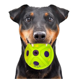 Happypet Laughing Treat Ball - Leckerli-Spenderball
