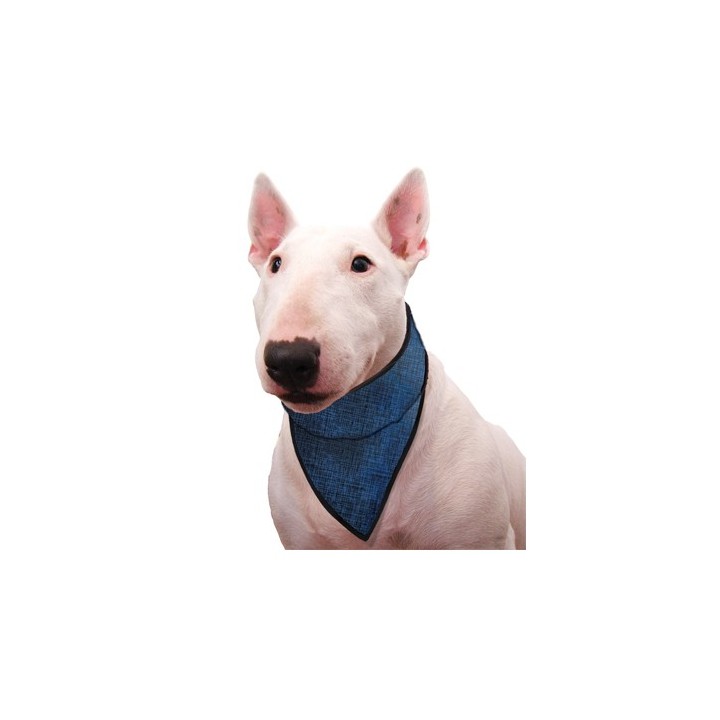 Aqua Coolkeeper Bandana - Blau - XXS