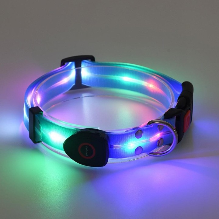 Hundehalsband mit LED-Beleuchtung, verstellbar, geeignet für Spaziergänge in der Nacht, leuchtend, blau