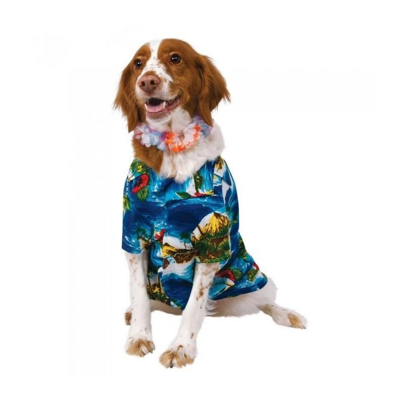 Bristol Neuheit Luau Hundekostüm S schwarz
