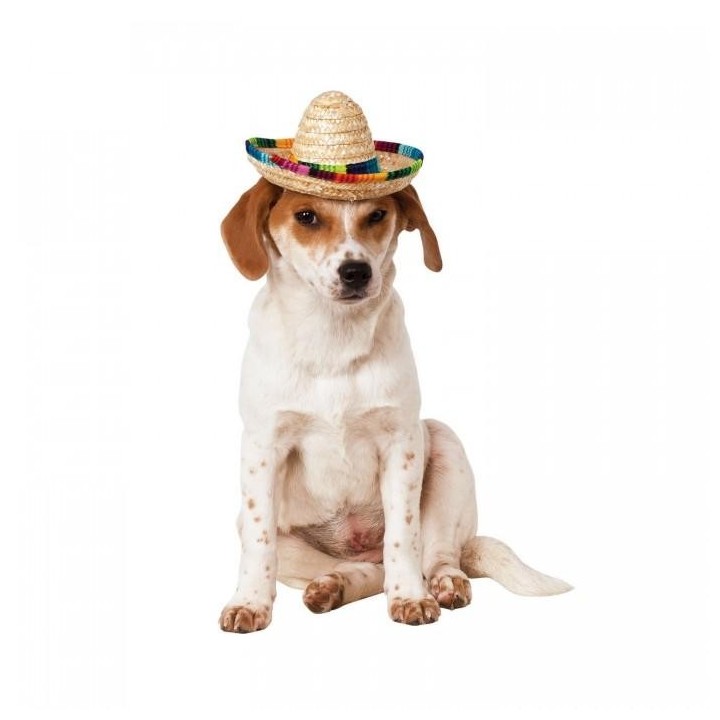 Bristol Novelty Sombrero Hundekostüm M-L schwarz
