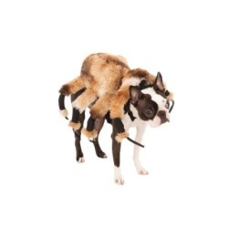 Bristol Novelty Spider Dog Kostüm S schwarz/braun