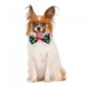 Bristol Novelty Tupfen-Halloween-Fliege L-XL