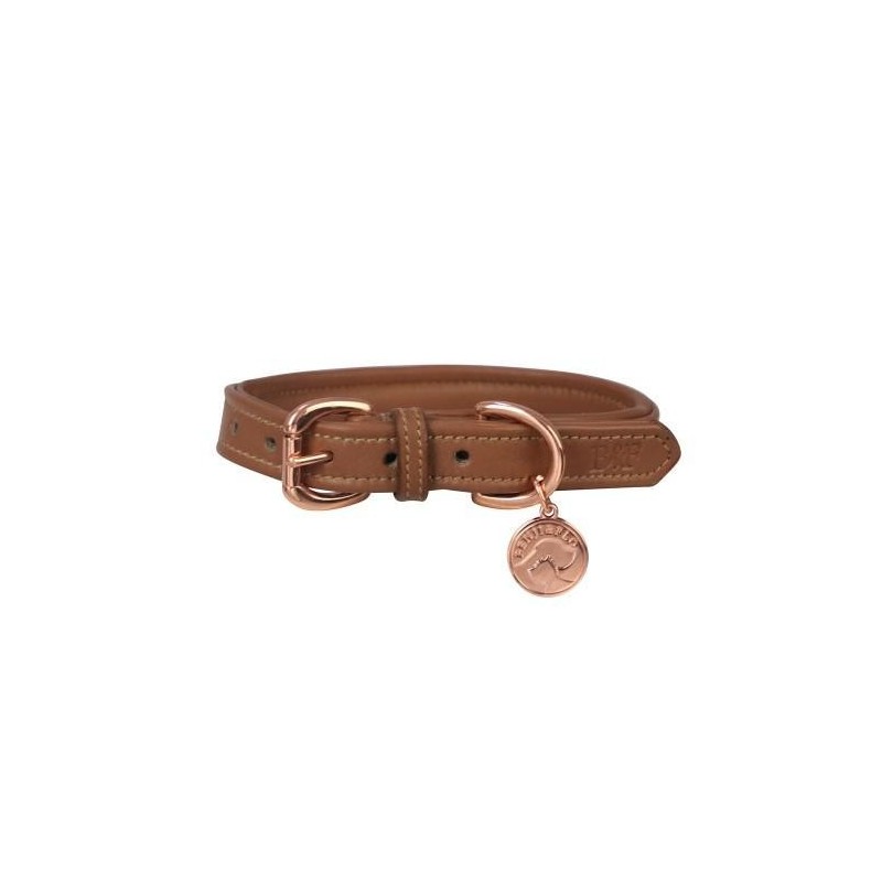 Benji & Flo Deluxe Ledergepolstertes Hundehalsband L- Length: