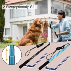 Ausziehbarer Hunde-Welpen-Teaser-Stab, interaktiver Flirt-Stab für Hunde, Trainings- und Übungsseil für den Außenbereich L bl