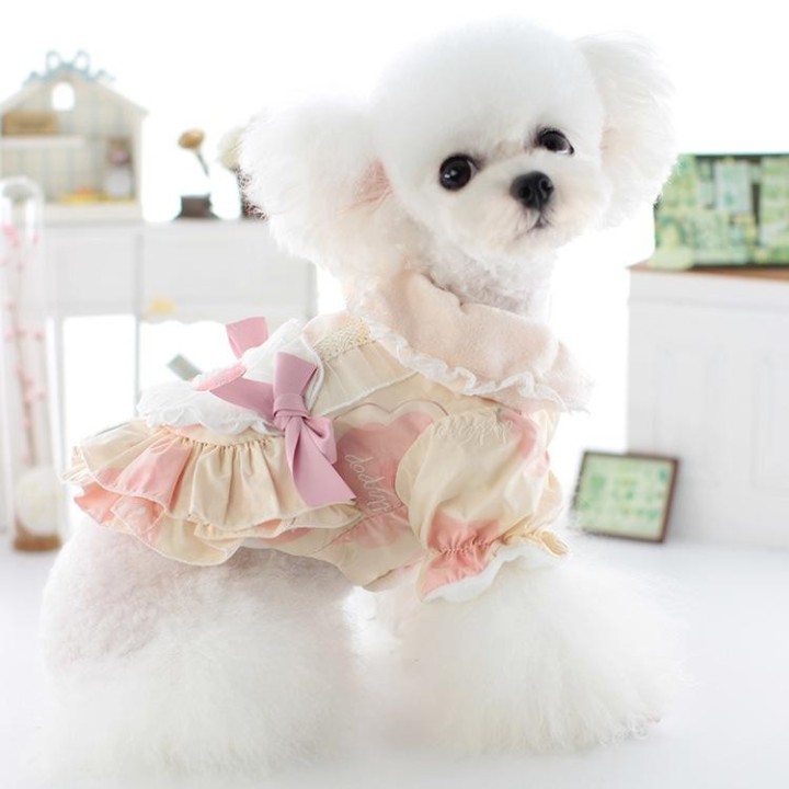 Pet Love Kragenkleid Erdbeermädchenkleid Süßes Teddy Prinzessin Wind Herbst/Winter Warmes Kleid Welpenkleidung Jacke Zubehör