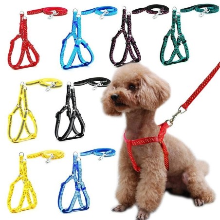 Kleines Hundegeschirr, Katzengeschirr, Leine, verstellbare Weste, Halsband, Welpe, Outdoor, Wandern, Chihuahua, Terier, Schna