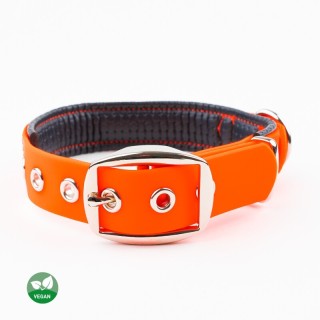 PetTec veganes Hundehalsband orange M