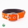 PetTec veganes Hundehalsband orange M