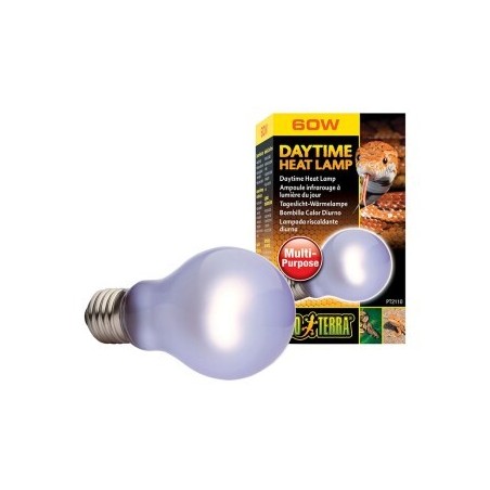 Exo Terra Day Glo SG A19/60 W