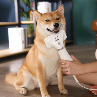 Haustier-Haartrockner, elektrischer Haustier-Haarkamm für die Reinigung von Katzen und Hunden European plug