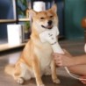 Haustier-Haartrockner, elektrischer Haustier-Haarkamm für die Reinigung von Katzen und Hunden European plug