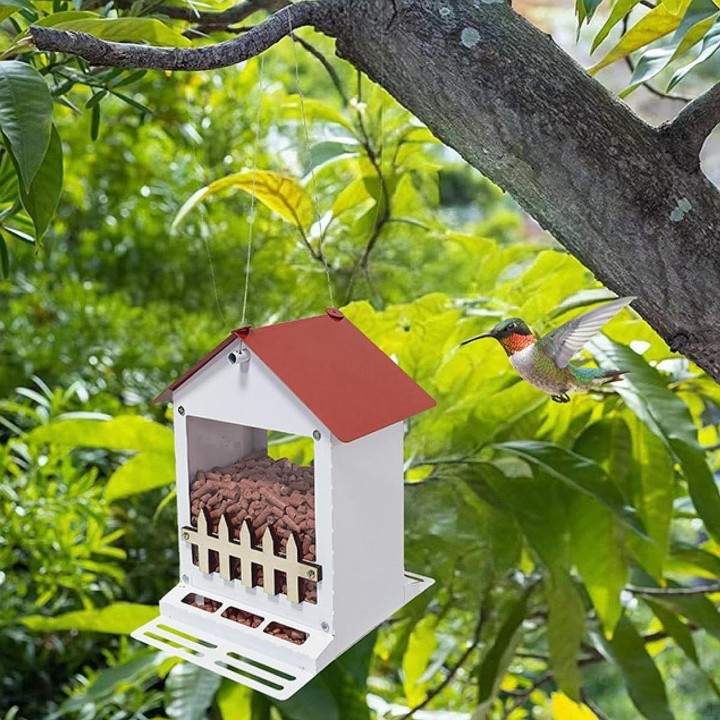 Hängende Vogelfutterstation, Futterstation, Hausform, wild, automatisch, Kolibri