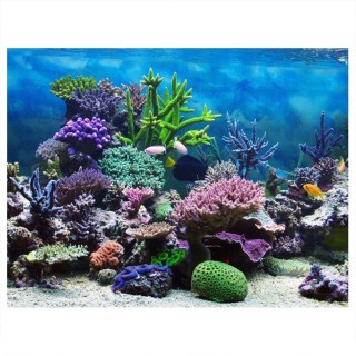 PVC-Kleber Unterwasserkoralle Aquarium Fisch Hintergrund Poster Hintergrund Dekoration Papier 61*30cm