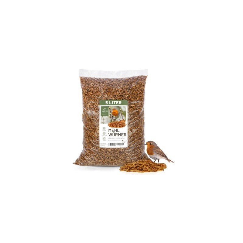 wildtier liebe Edel Mehlwürmer getrocknet 800g
