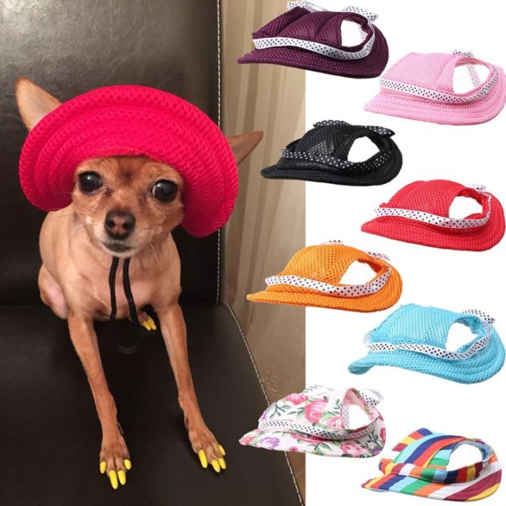 Mode Mesh Atmungsaktive Haustier Hut Runde Sport Sonnenhut Nette Druck Outdoor Strand Hut M orange