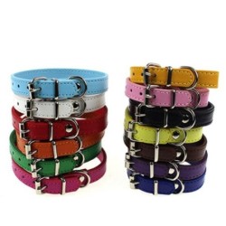 Halsband mit Schnalle für Haustierwelpen in reiner Farbe M