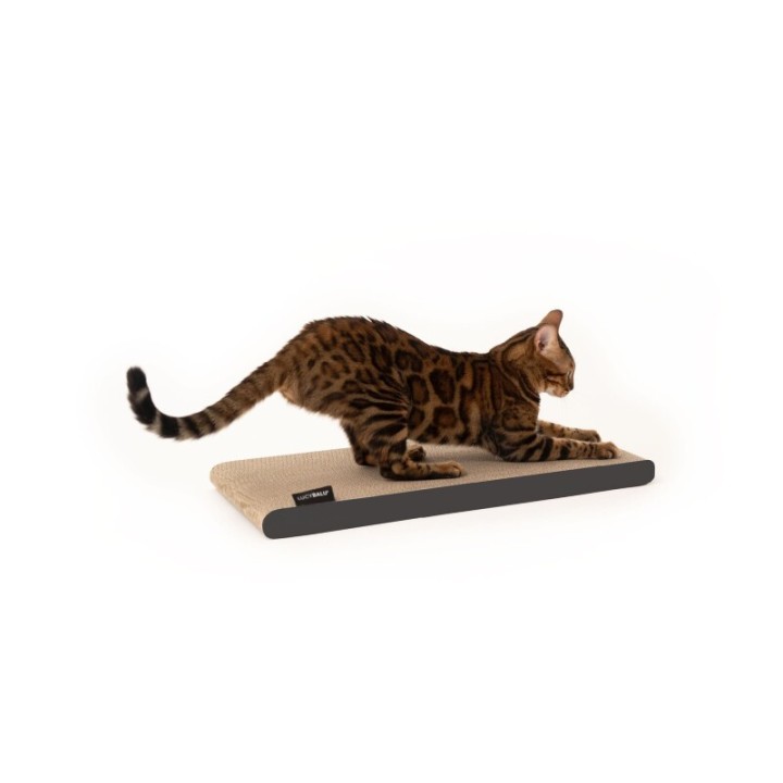 LucyBalu SCRATCHPAPER Katzen Kratzpappe anthrazit