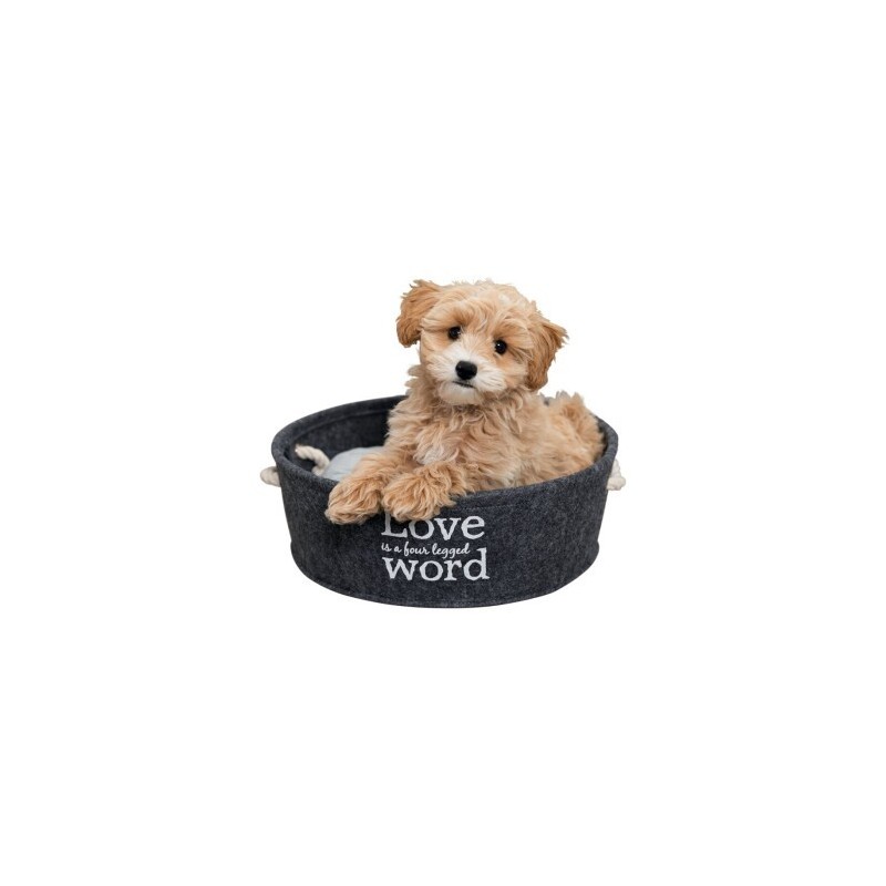 Trixie Liegeplatz Lian S