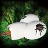 Lebendige Reptilien- und Insektenversteckhöhle, Tierheim, Eierschalen-Simulationsform, Felshöhlendekoration für Schildkröten,